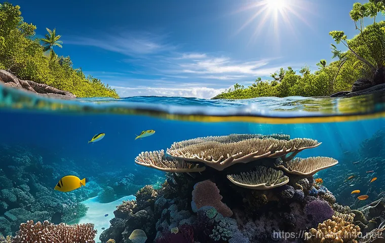 해양 수산자원 관리 - **Upcycling Fishing Nets: "From Ocean to Fashion"**
A clean, well-lit workshop or studio where s... 해양 수산자원 관리 - **Upcycling Fishing Nets: "From Ocean to Fashion"**
A clean, well-lit workshop or studio where s...